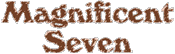 Mag 7 Logo